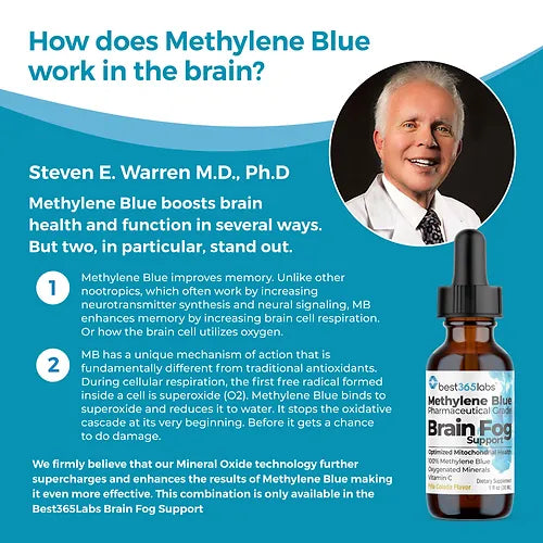 Brain Fog Support - Wholesale Only - 12 per Order